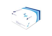 NaC20140103_DS_Lolina? Human AD-MSC stem-Prom? supplement kit 3，for adherent culture，Xeno Free